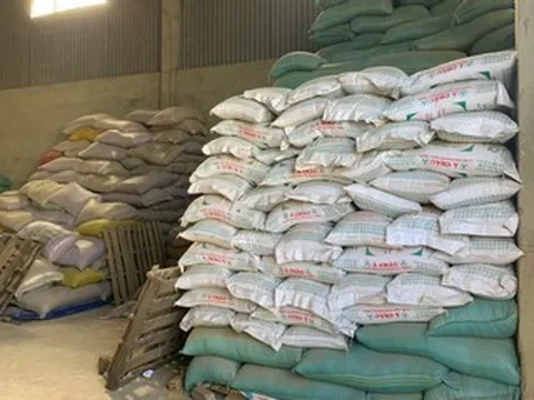 Điều chưa biết về giám đốc cầm đầu đường dây sản xuất hơn 200 tấn lúa giống giả