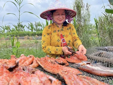 Về ‘thủ phủ’ khô cá lóc Cần Thơ xem người dân hối hả phơi khô vụ Tết