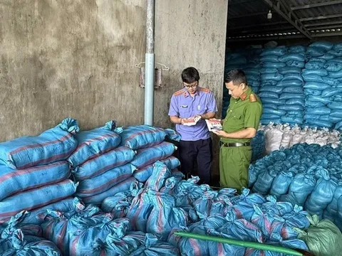 Nữ giám đốc bán 1.700 tấn muối i-ốt giả trong một năm