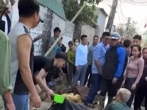 3 thanh niên bị điện giật khi dựng cây nêu đón Tết ở Nghệ An