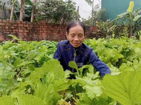 Hồi sinh ở vùng quê hạ du Kẻ Gỗ, nơi một năm hai lần bị ngập lụt