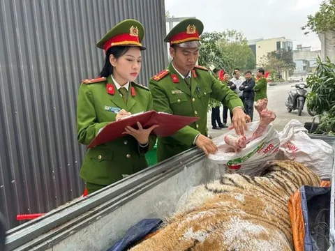 Khởi tố, bắt tạm giam đối tượng xây hầm bí mật dưới lòng đất để nấu cao hổ