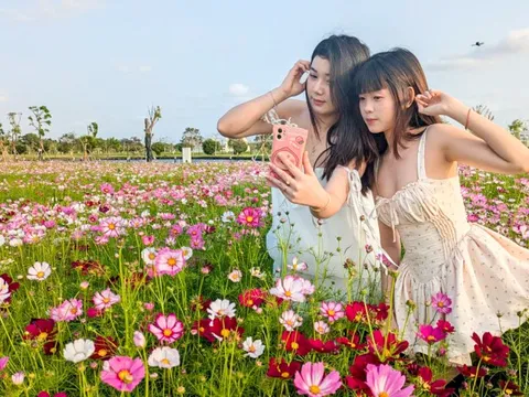 Thích thú với vườn hoa sao nhái 2,5ha, nhiều người nhắc nhau giữ gìn cảnh quan