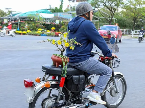 Người dân Đà Nẵng rộn ràng chở mùa xuân về nhà