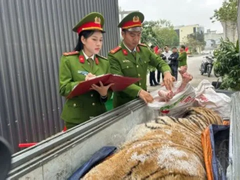 Bắt giữ đối tượng xây hầm kín, mua hổ về nấu cao tại Thanh Hóa