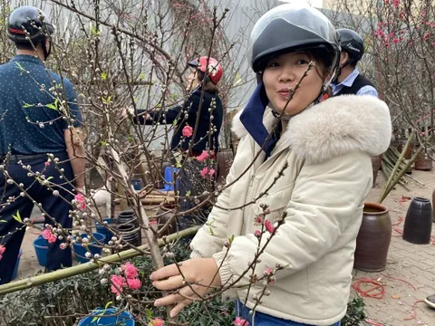 Dự báo thời tiết Tết Nguyên đán, xuất hiện diễn biến mới vào đêm giao thừa