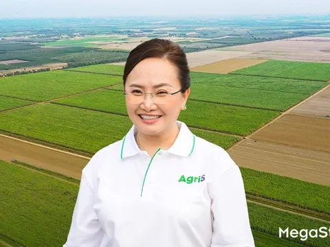 Từ túi ong mắt đỏ đến bài toán 'cửa thắng' cho nông nghiệp Việt trên sân chơi toàn cầu