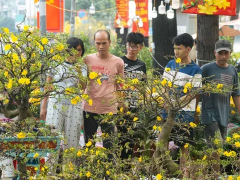 Chợ hoa Tết sôi động ngày 27 tháng Chạp, sức mua khởi sắc