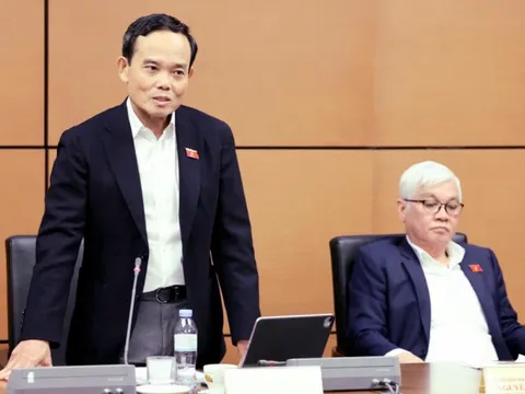 Danh sách chi tiết 13 đơn vị bầu cử và 64 người ứng cử đại biểu Quốc hội khóa XVI tại TP.HCM