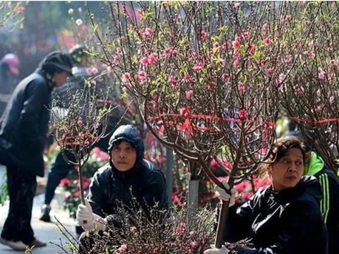 Dự báo thời tiết 15/2: Miền Bắc đón đợt không khí lạnh mạnh, trời mưa rét trở lại