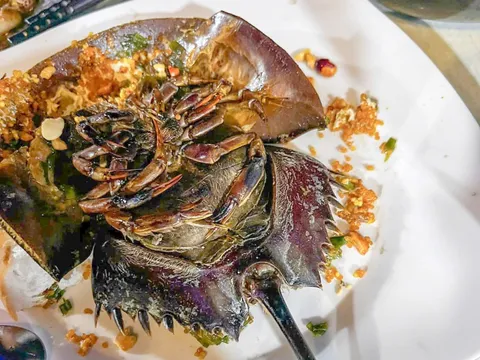 Ra quán kêu con sam, 3 người ăn nghi bị ngộ độc con so