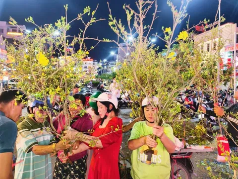 'Chợ' nhánh mai vàng ở Long Xuyên rộn ràng tối 28 Tết, giá rẻ hơn năm trước