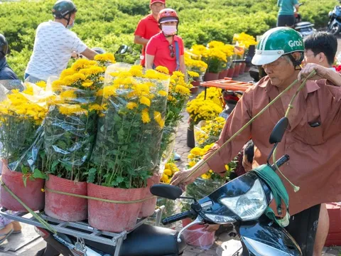 29 Tết rực nắng, hoa Tết TP.HCM đồng loạt hạ giá