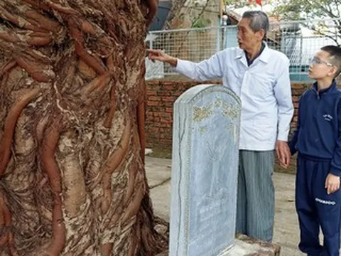 Cả làng bảo vệ 4 báu vật trong ngôi đình ở Ninh Bình