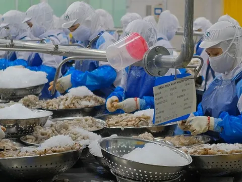 Mỹ công bố mức áp thuế chống bán phá giá đối với tôm Việt Nam