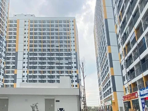 Cảnh báo thủ đoạn lừa đảo khi mua nhà ở xã hội