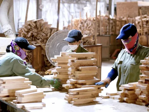 'Kế hoạch B' thuế quan của ông Trump có thể cứng rắn hơn, những khuyến nghị mới nhất