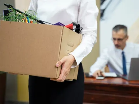 Mùa chuyển nghề sau Tết