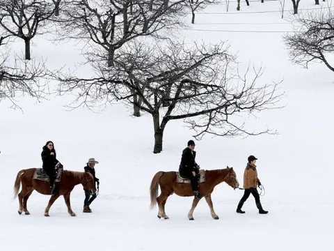 Cưỡi ngựa giữa trời tuyết Hokkaido