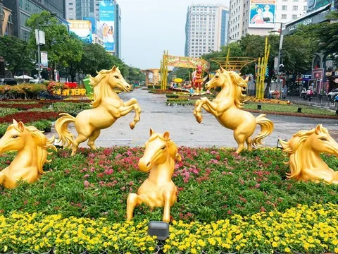 Bính Ngọ - lửa trong chuyển động