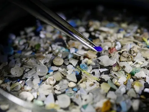 Nghiên cứu gây lo ngại: Vi nhựa xuất hiện dày đặc trong khối u tuyến tiền liệt