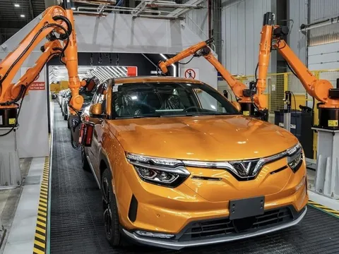 Vươn mình bằng nội lực