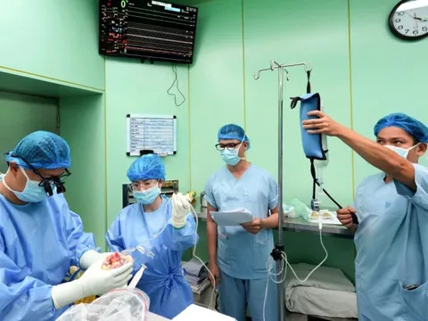 Hiến tạng: Kỷ lục và niềm hy vọng mới