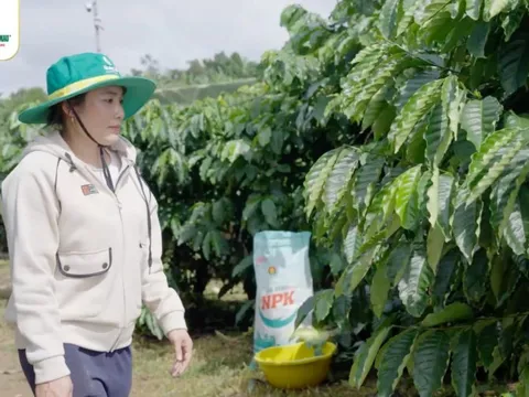 'Nét Đẹp Mùa Vàng Thắng Lớn': livestream đặc biệt tôn vinh chị em nhà nông