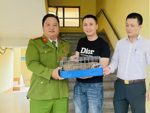 Thấy con vật quý bò trên đường, thanh niên liền bắt giao nộp