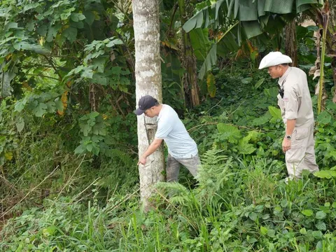 Người dân liên tiếp báo tin về mối nguy hiểm vừa "lộ diện" sau hàng chục năm