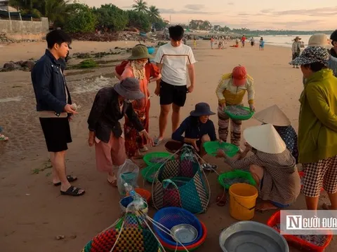 Chong đèn câu mực xuyên đêm, ngư dân thu tiền triệu mỗi ngày
