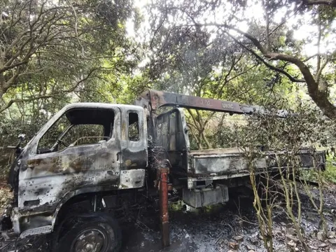 Xe tải gắn cẩu vướng dây điện, nam tài xế tử vong