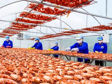 Cà Mau thực hiện ‘5 thông’ trong phát triển doanh nghiệp