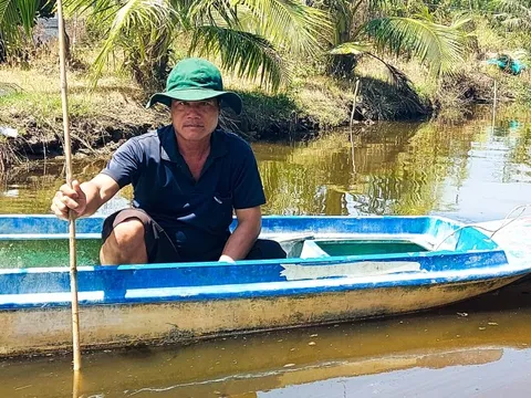 Mặn lấn sâu nội đồng, người dân nuôi tôm cua vùng ven biển An Giang ‘quay cuồng’ lo lắng