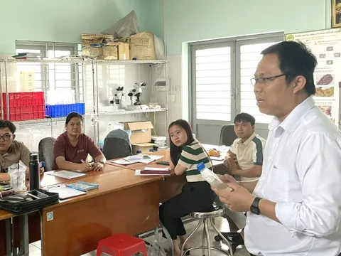 Kinh tế thể thao: Việt Nam có đủ năng lực khai thác 'mỏ vàng'?