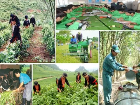 Đổi mới toàn diện, nâng cao chất lượng đào tạo nghề cho lao động nông thôn