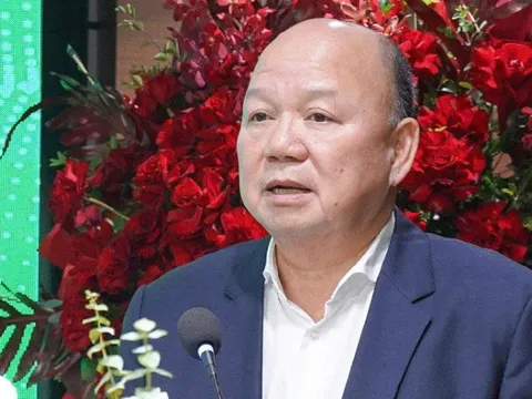 Ông Tô Dũng làm chủ tịch một công ty con của Vinaconex, cổ phiếu lập tức kịch trần