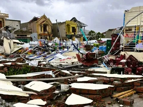 Năm 2026, bão và áp thấp nhiệt đới ảnh hưởng tới nước ta thế nào?