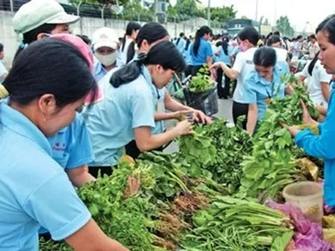 Từ năm 2028, mức sống tối thiểu của người lao động được công bố hằng năm