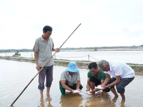 Thiệt hại nặng nề vì mưa trái mùa