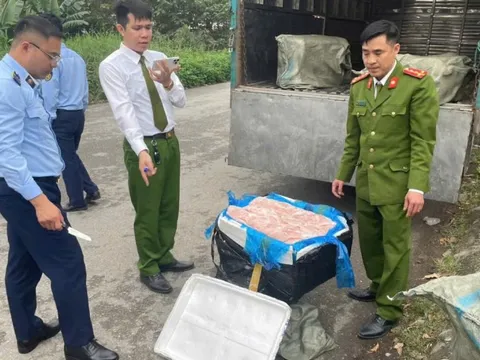 Hưng Yên: Thu giữ 600 kg nầm lợn đông lạnh không rõ xuất xứ