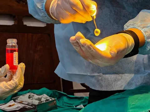 Người đứng đầu bệnh viện phải chịu trách nhiệm nếu hiến, ghép tạng không đúng quy định