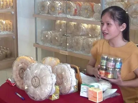 Hộ kinh doanh lo truy thu thuế: Cục Thuế lên tiếng