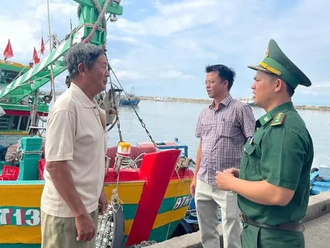 Từ đảo xa Phú Quý đến cảng cá Phan Thiết, ngư dân hướng về ngày bầu cử