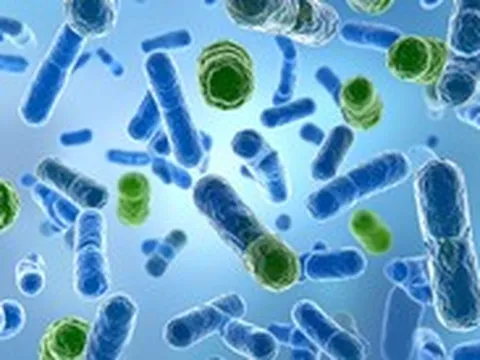 Vì sao có người 100 tuổi vẫn minh mẫn, có người 50 đã lẩn thẩn?