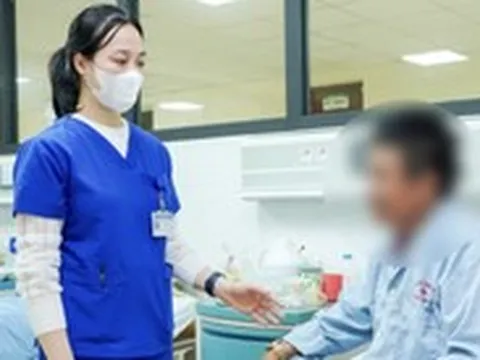 Nhập viện sau khi ăn loại củ giống sâm đất