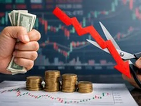 Mắc kẹt khi cổ phiếu bất ngờ giảm sâu: Nên giữ hay cắt lỗ?