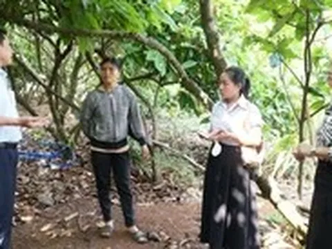 Chó nghi dại cắn bố con chủ nhà và 3 hàng xóm, Đắk Lắk hỏa tốc phòng chống bệnh dại