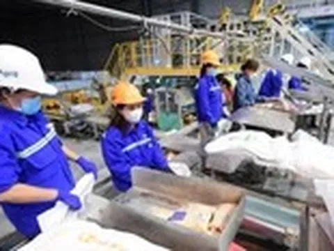 'Tấm khiên' chống sốc từ bên ngoài