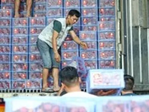 Chính phủ đồng ý kéo dài thời hạn tạm ngưng Nghị định 46